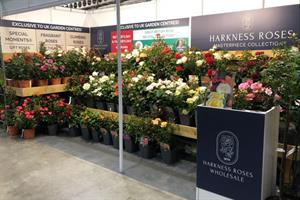 Harkness Ross display